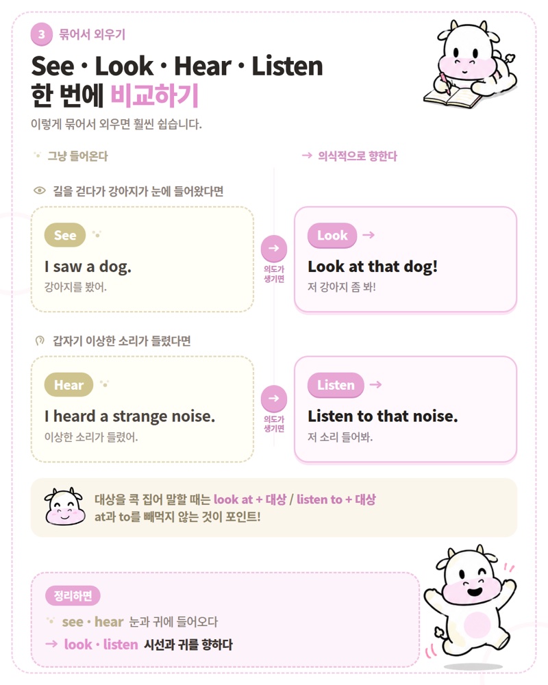 See Look Hear Listen 비교