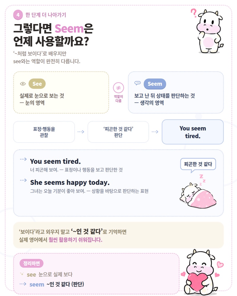 Seem은 언제 사용할까요
