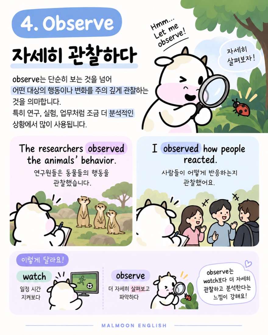 Observe 자세히 관찰하다